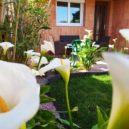 Riba D'aude Bed & Breakfast