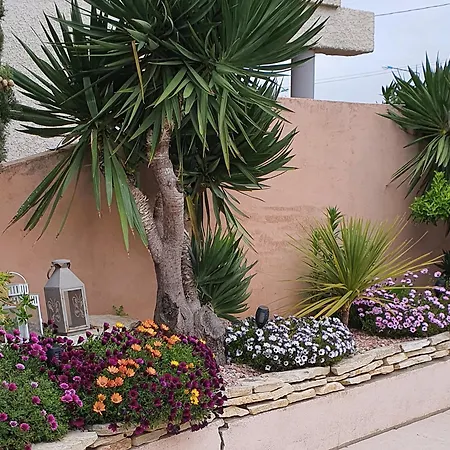 Bed and breakfast Riba D Aude Carcasona